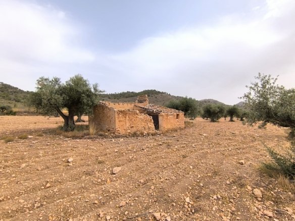 Land in Yecla - Caza De Casa