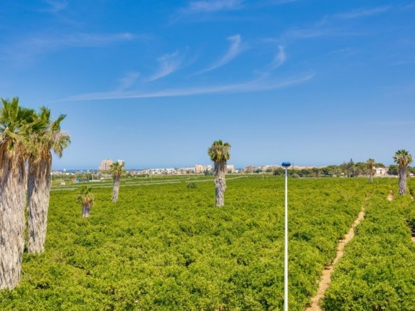 3 Bedroom 3 Bathroom Town House in Torrevieja - Caza De Casa
