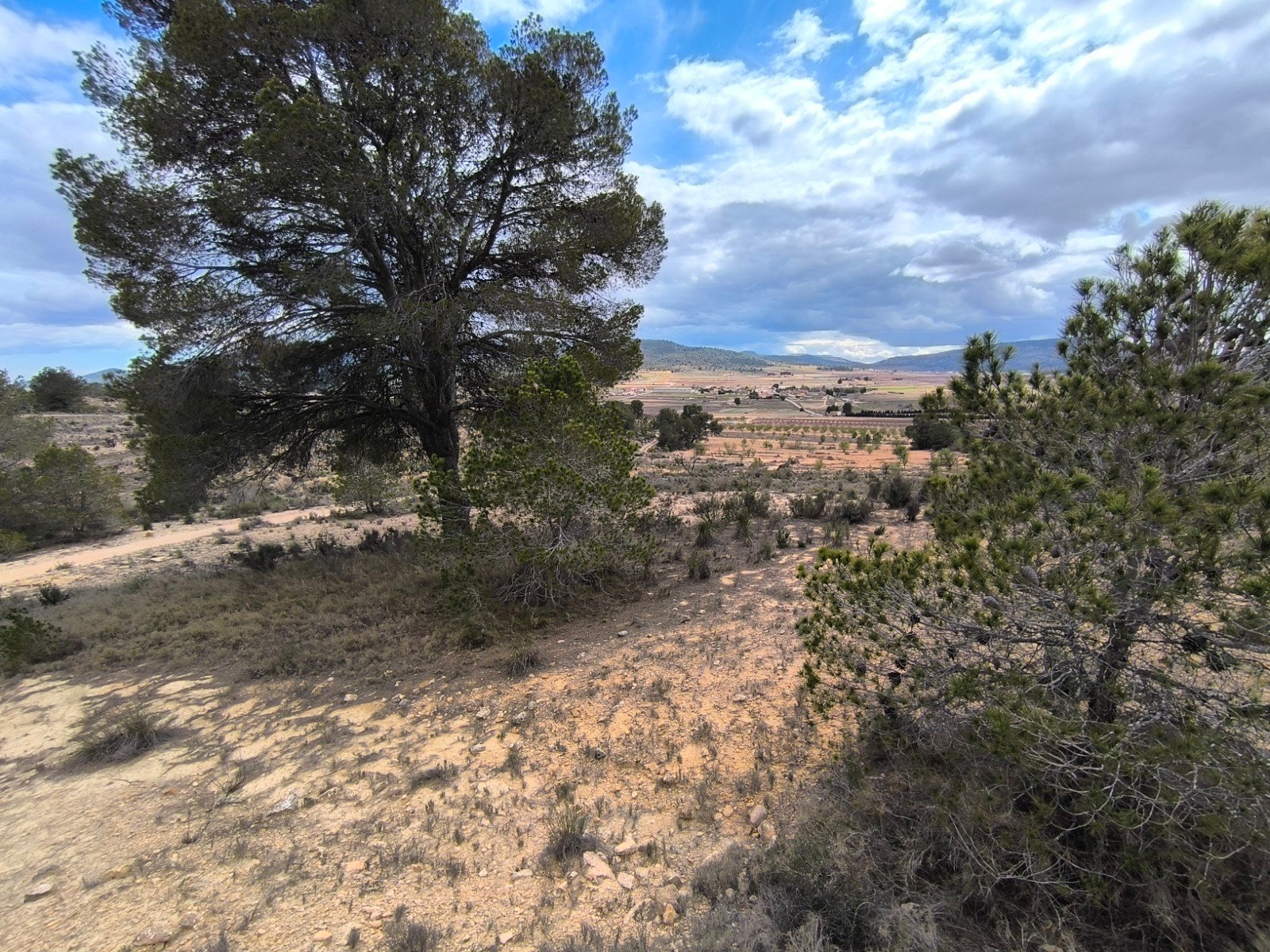 Land in Pinoso - Caza De Casa