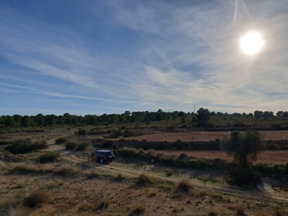 12,116 m² Land in Pinoso - Caza De Casa