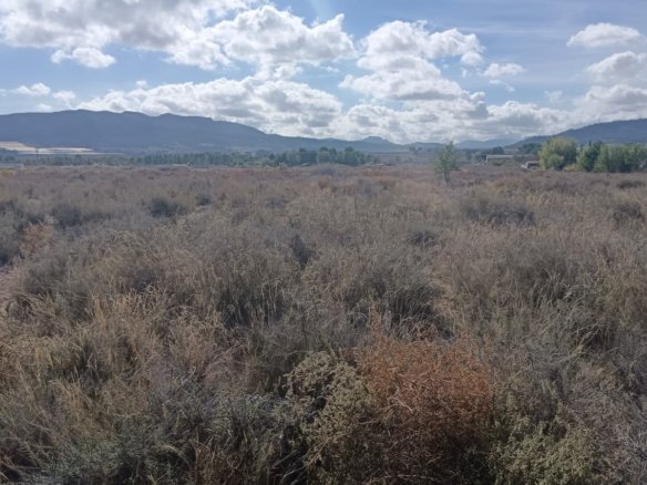 Land in Salinas - Caza De Casa