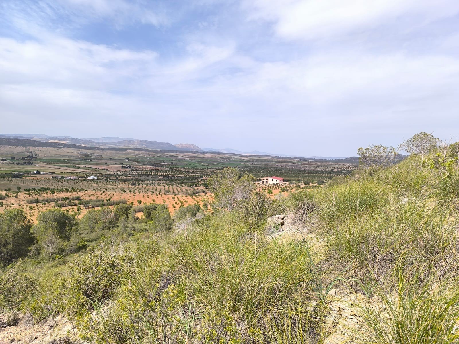 Land in Yecla - Caza De Casa