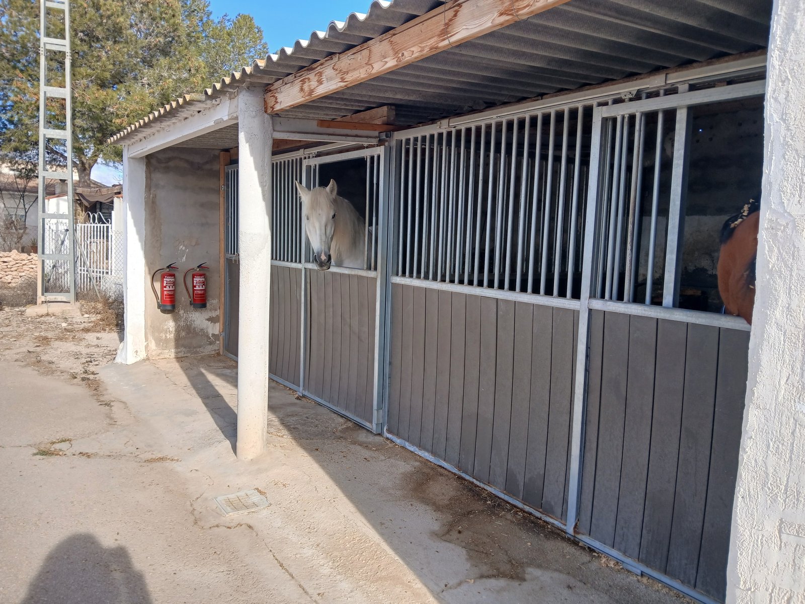 23 Bedroom 1 Bathroom Country House in Monóvar - Caza De Casa