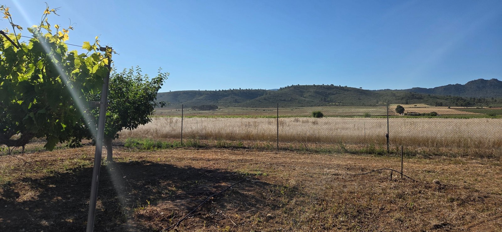 1 Bathroom Country House in Yecla - Caza De Casa