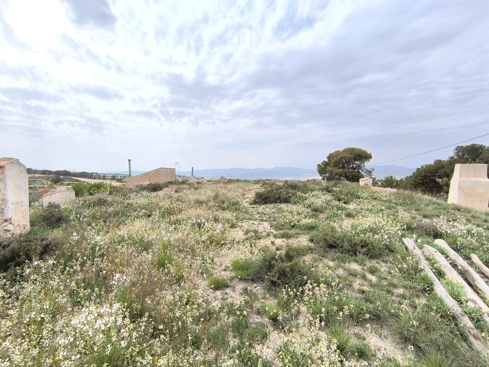 7 Bedroom 1 Bathroom Country House in Jumilla - Caza De Casa