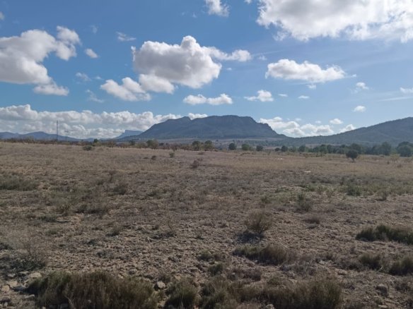 Land in Salinas - Caza De Casa