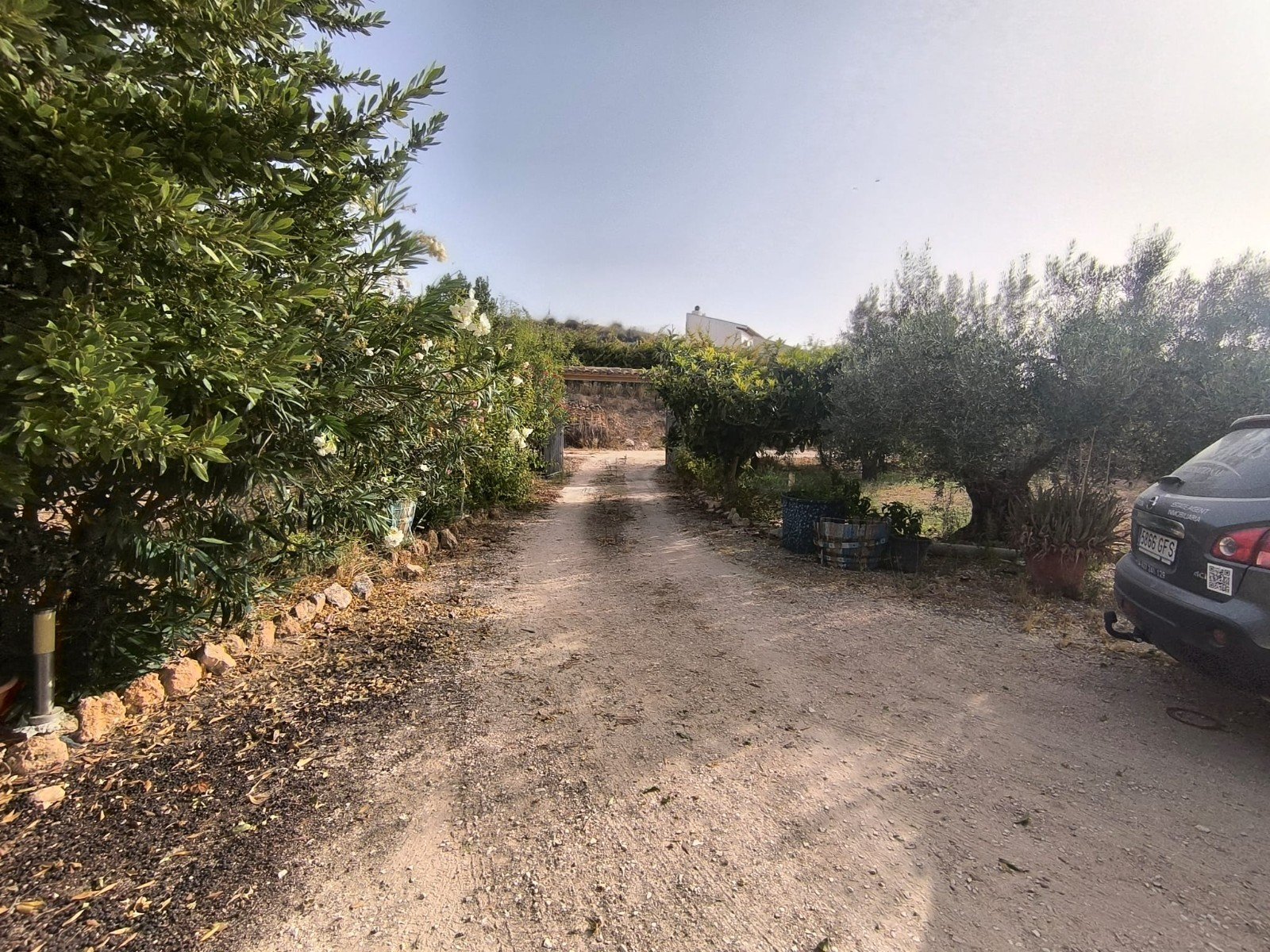 3 Bedroom 1 Bathroom Country House in Pinoso - Caza De Casa