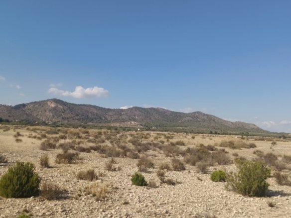 24,596 m² Land in Salinas - Caza De Casa