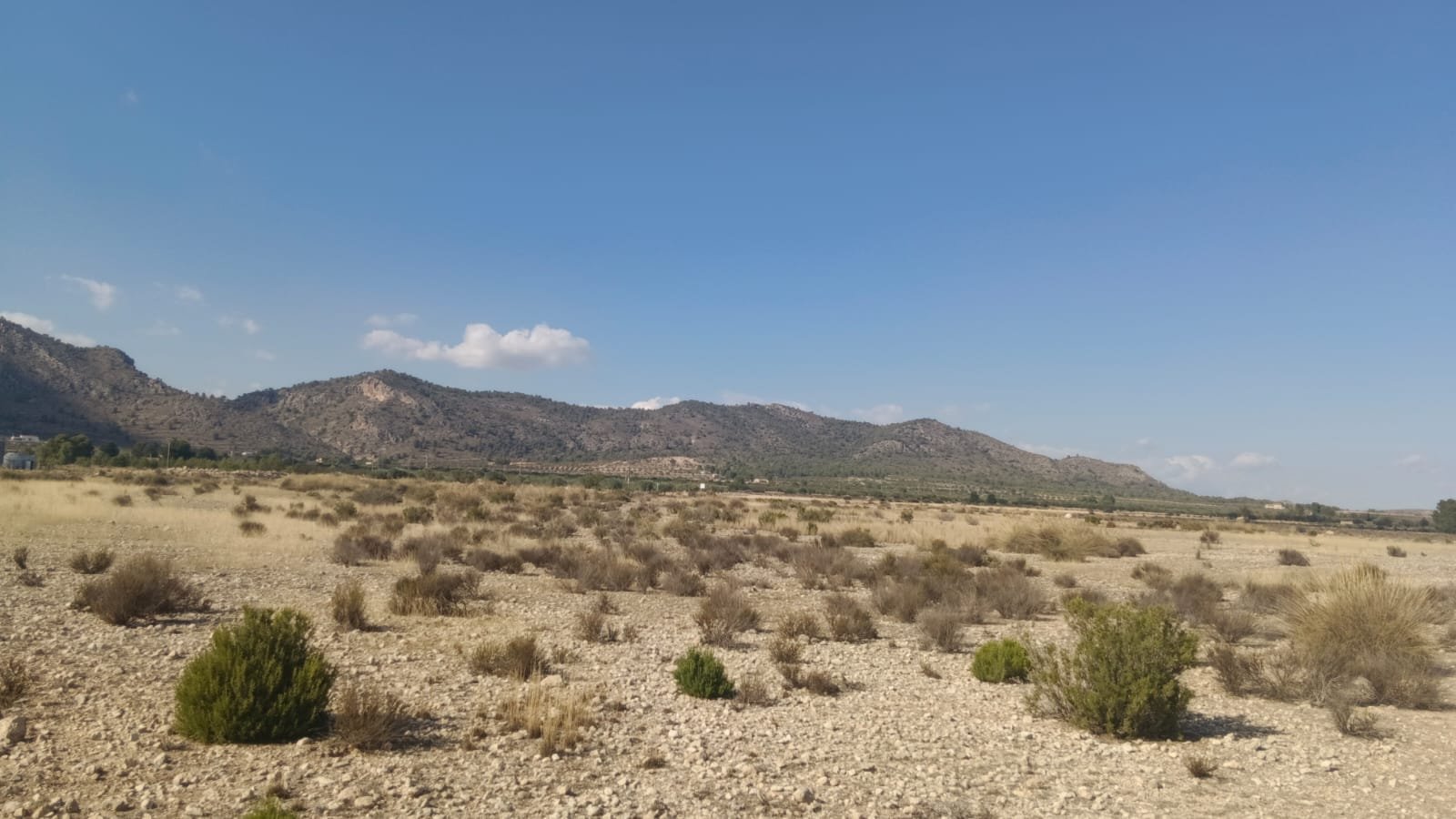 24,596 m² Land in Salinas - Caza De Casa