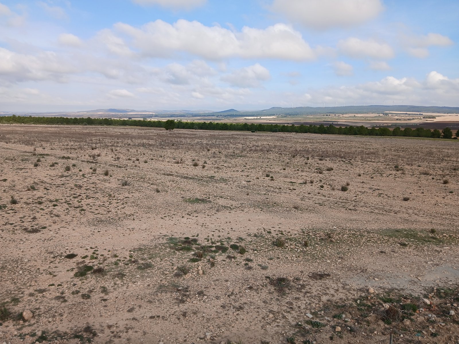 600 m² Land in Yecla - Caza De Casa