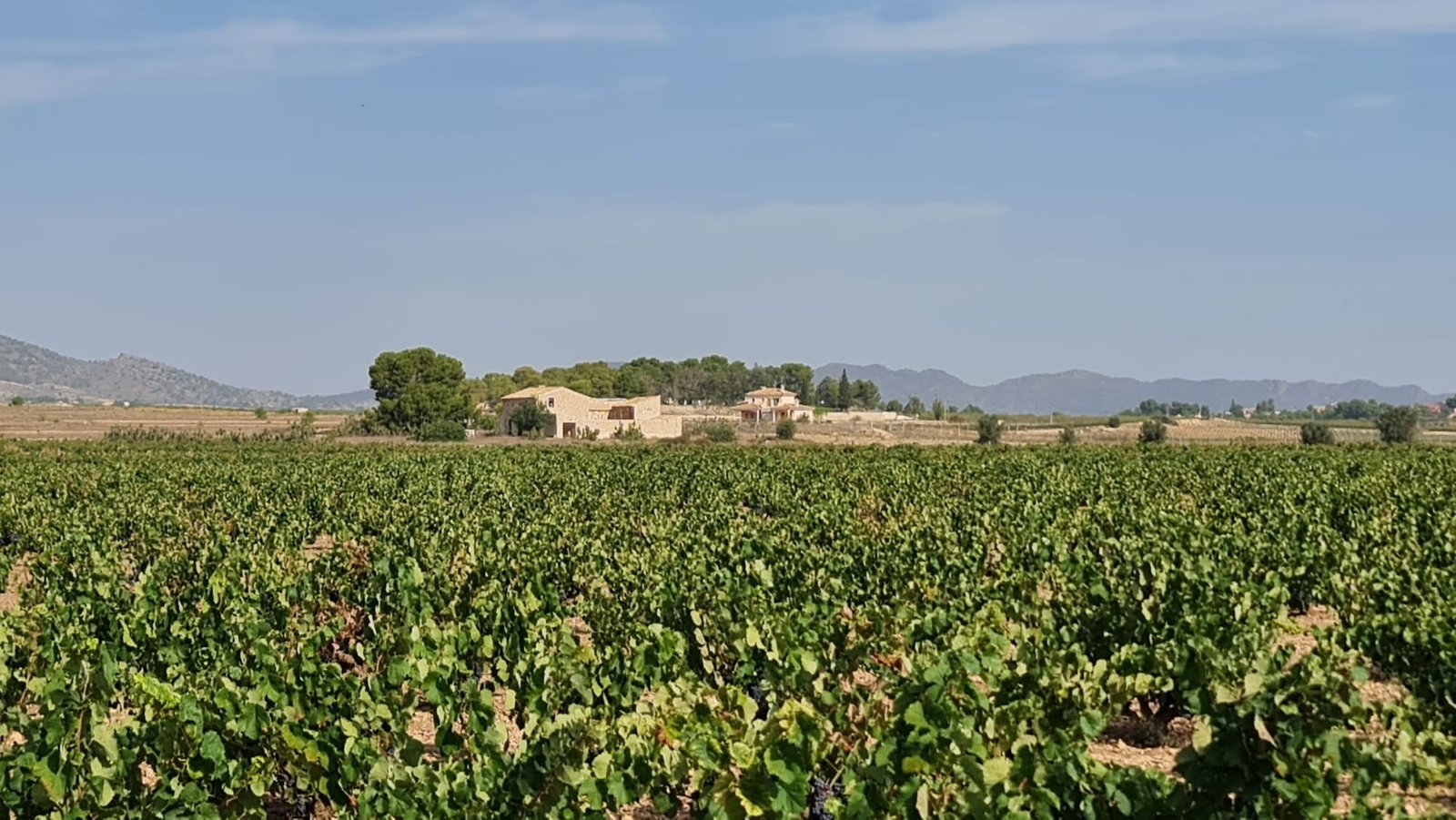 138,210 m² Land in Pinoso - Caza De Casa
