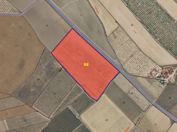 Land in Yecla - Caza De Casa