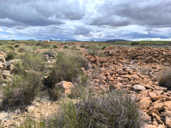 16,137 m² Land in Pinoso - Caza De Casa