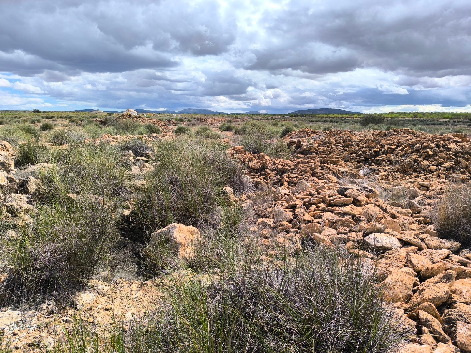 16,137 m² Land in Pinoso - Caza De Casa