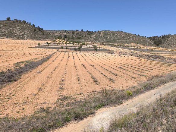 Land in Abanilla - Caza De Casa