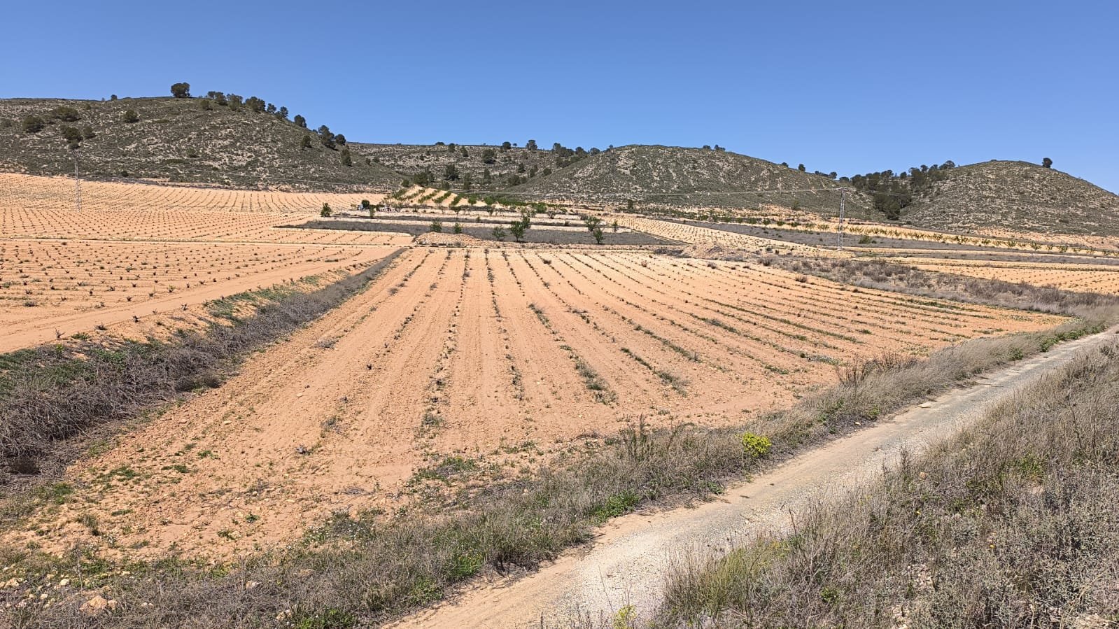 Land in Abanilla - Caza De Casa