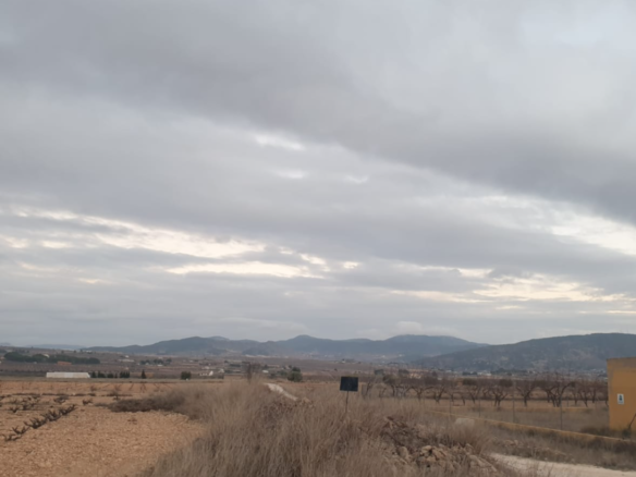 9,908 m² Land in Pinoso - Caza De Casa