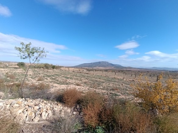 2 Bedroom Other in Yecla - Caza De Casa