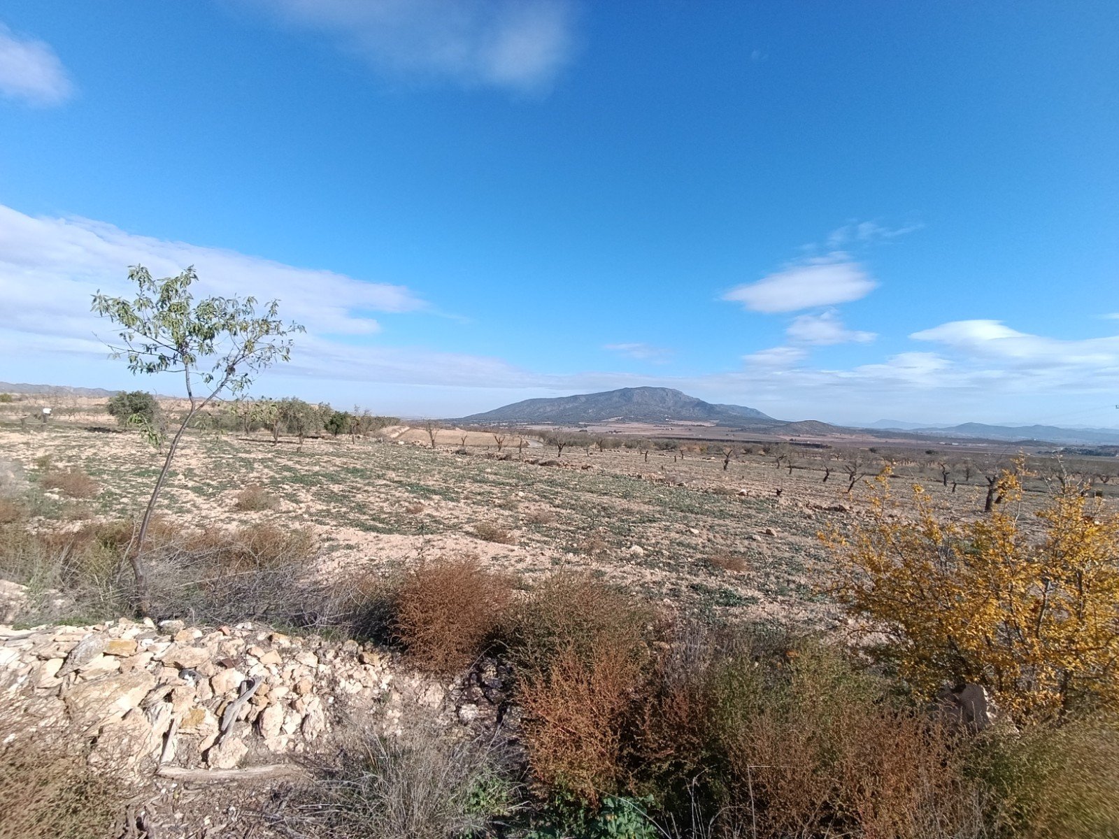 2 Bedroom Other in Yecla - Caza De Casa