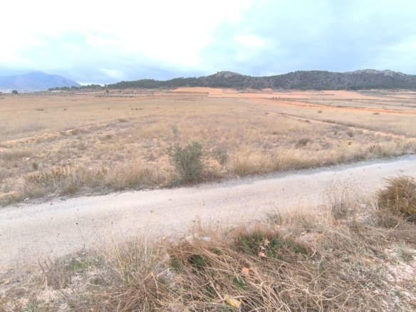 8,495 m² Land in La Solana - Caza De Casa