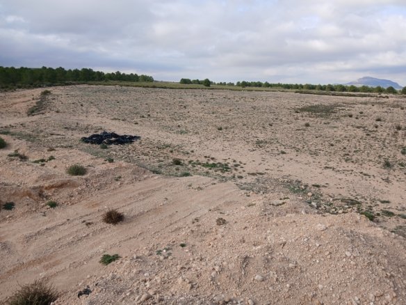 600 m² Land in Yecla - Caza De Casa