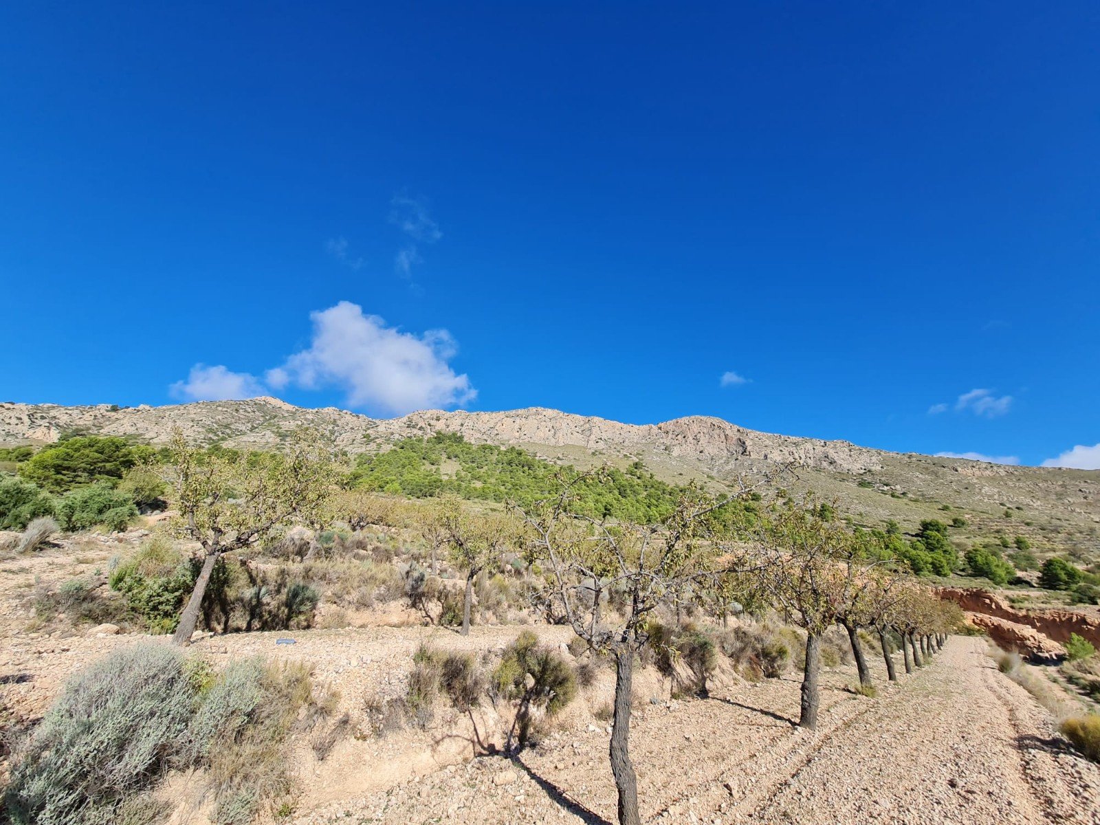 Land in La Romana - Caza De Casa