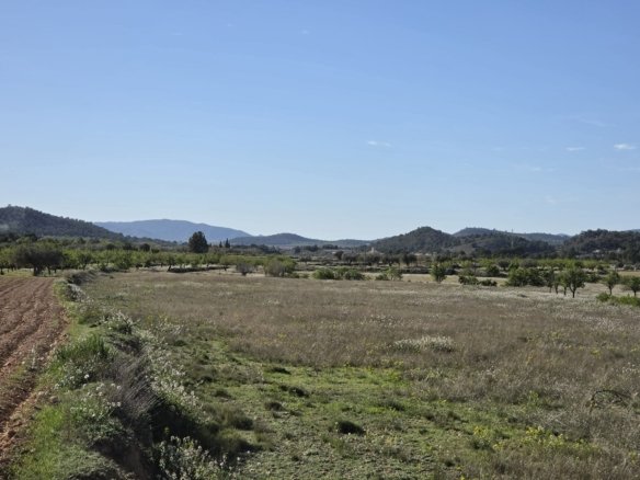 Land in Monóvar/Monóver - Caza De Casa