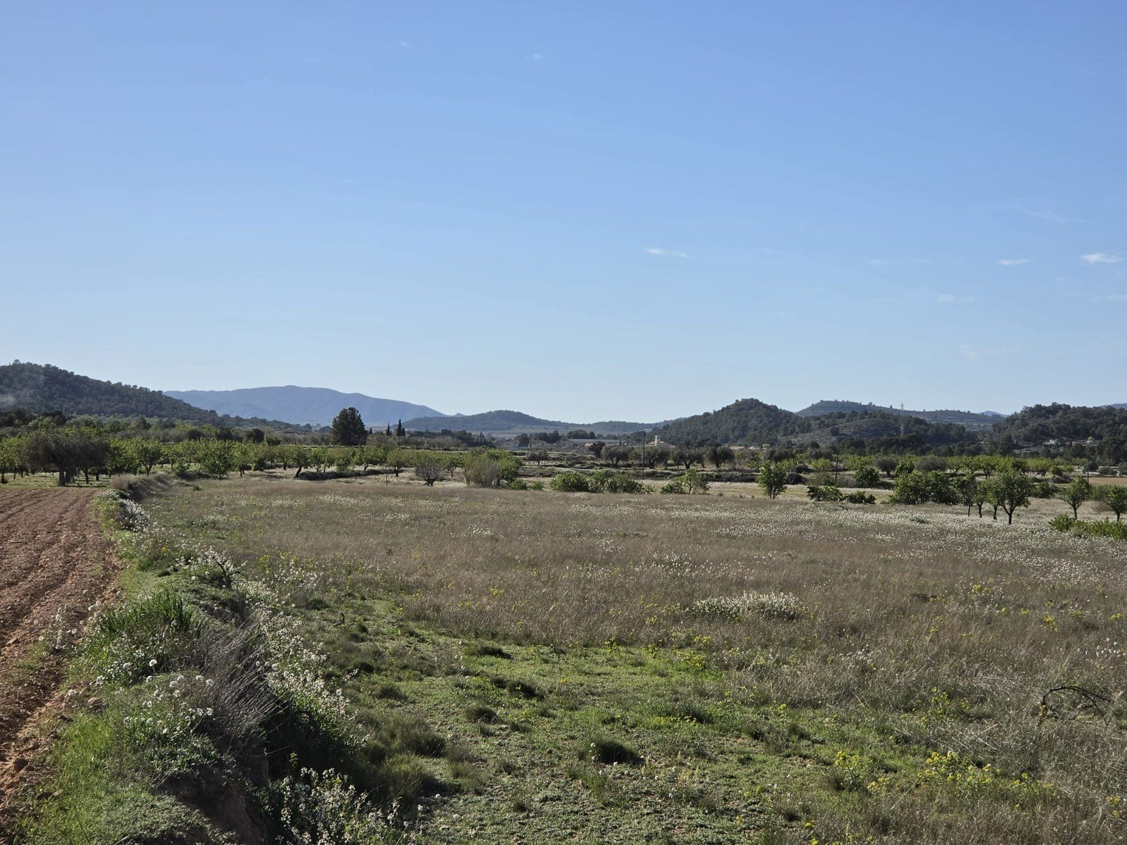 282e9053df3e54b9 Land in Monóvar/Monóver - Caza De Casa