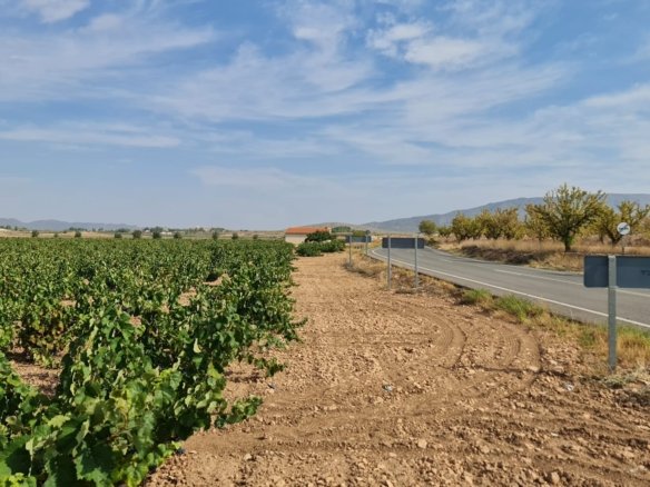 138,210 m² Land in Pinoso - Caza De Casa
