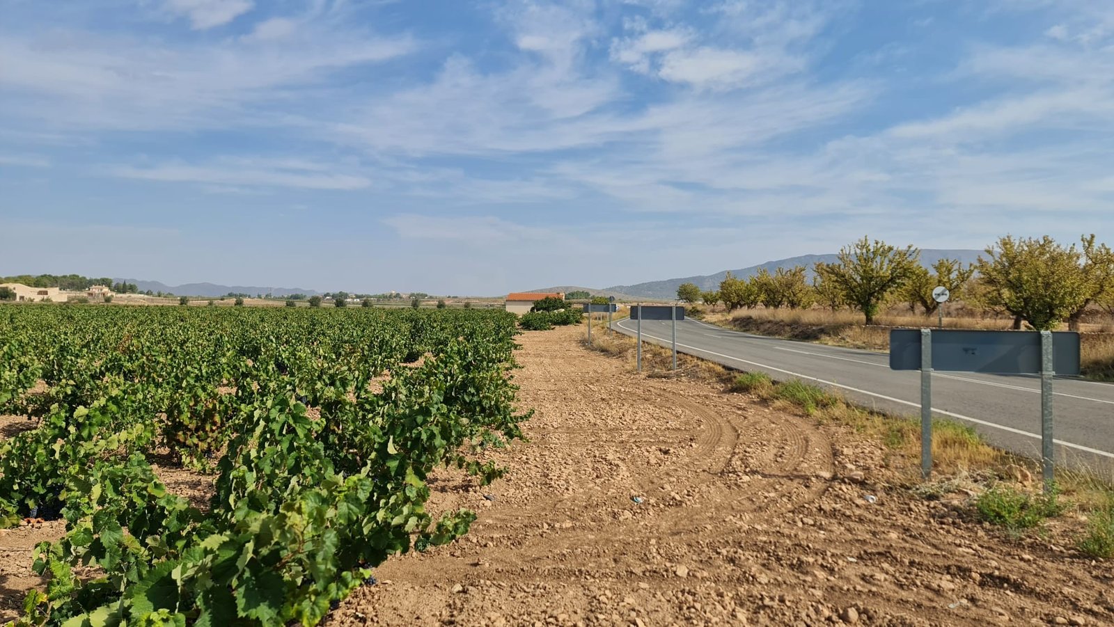 138,210 m² Land in Pinoso - Caza De Casa