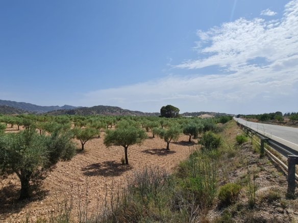 Land in Abanilla - Caza De Casa