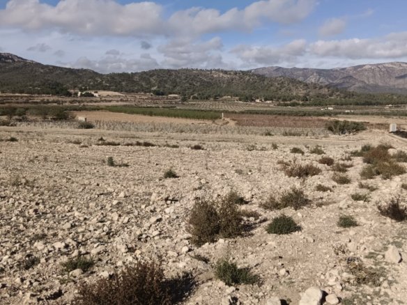 10,200 m² Land in Salinas - Caza De Casa