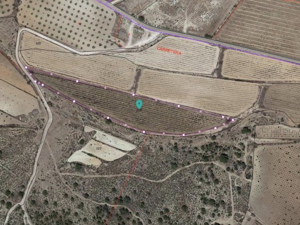 12,116 m² Land in Pinoso - Caza De Casa