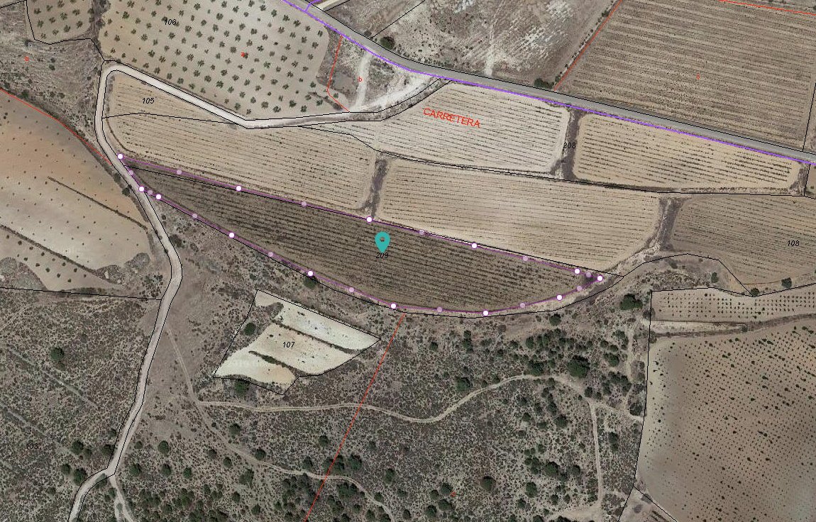 12,116 m² Land in Pinoso - Caza De Casa