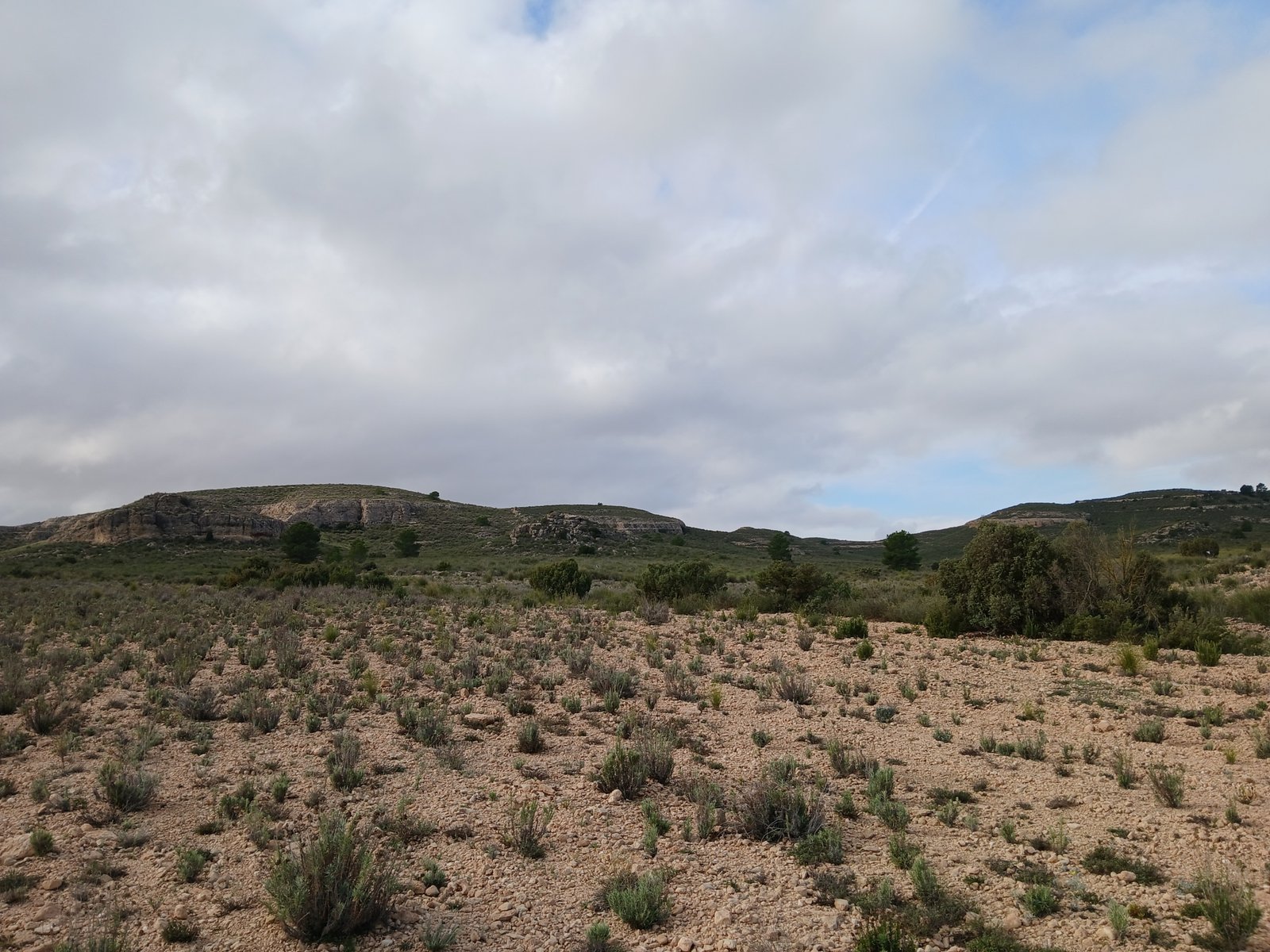 600 m² Land in Yecla - Caza De Casa