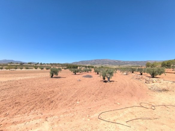 17,098 m² Land in Monóvar/Monóver - Caza De Casa