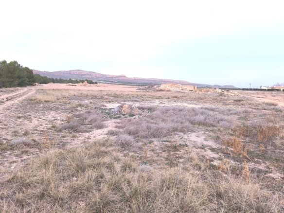 Land in Yecla - Caza De Casa