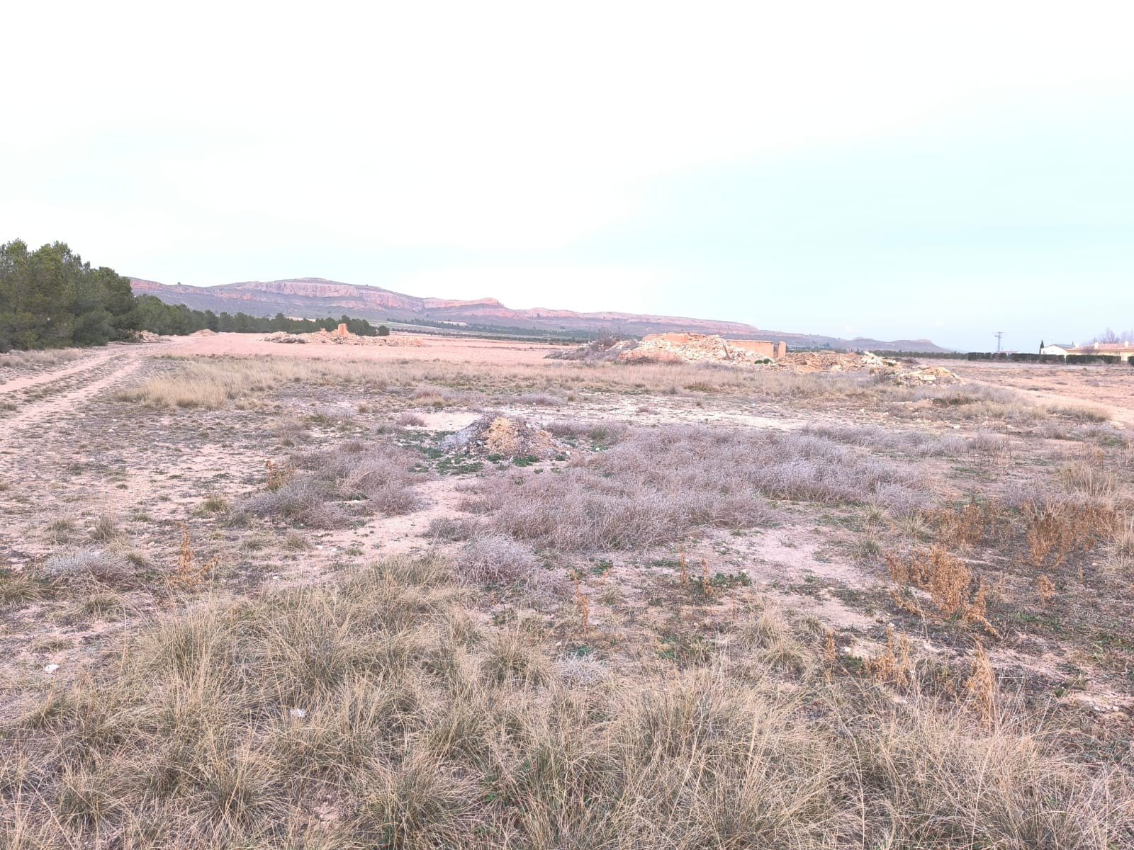 Land in Yecla - Caza De Casa