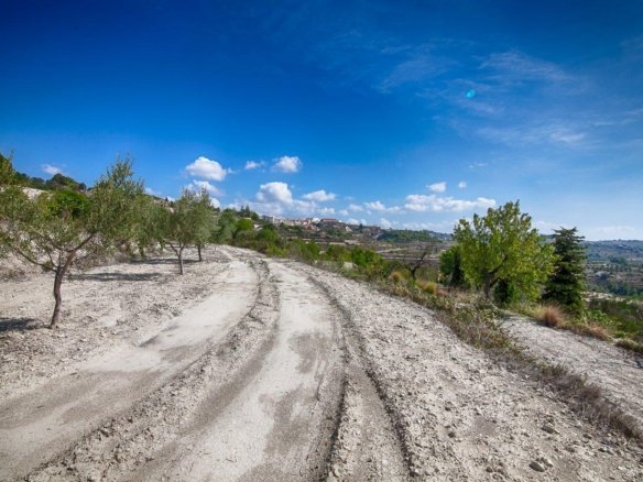 10,894 m² Land in Benissa - Caza De Casa