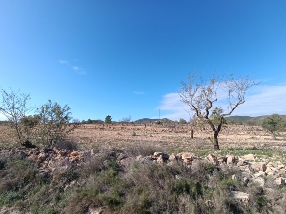 2 Bedroom Other in Yecla - Caza De Casa