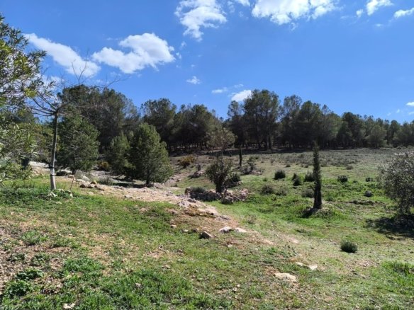 4 Bedroom 2 Bathroom Country House in Villena - Caza De Casa