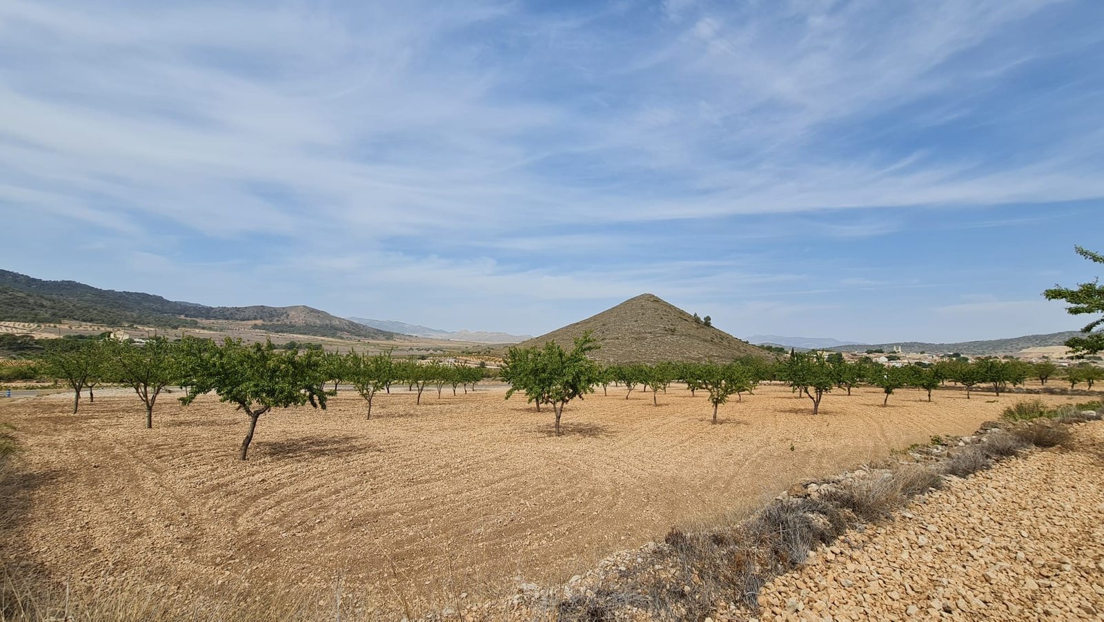 Land in Algueña - Caza De Casa