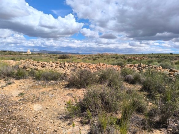 16,137 m² Land in Pinoso - Caza De Casa