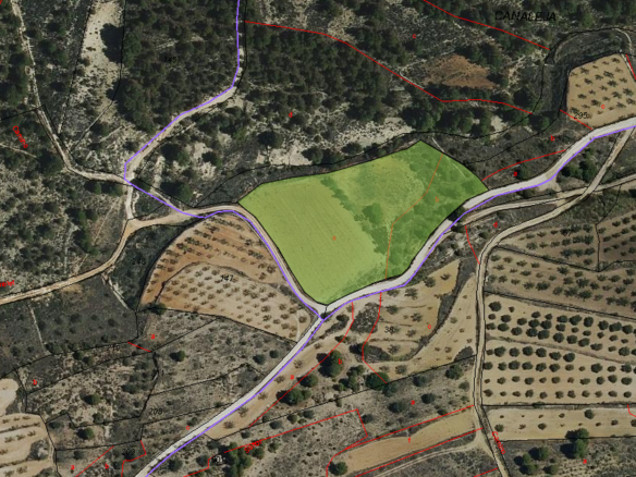 8,802 m² Land in Monóvar/Monóver - Caza De Casa