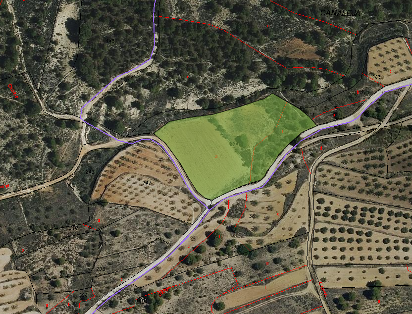 8,802 m² Land in Monóvar/Monóver - Caza De Casa