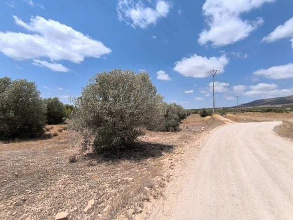 1 Bedroom 1 Bathroom Country House in Caudete - Caza De Casa