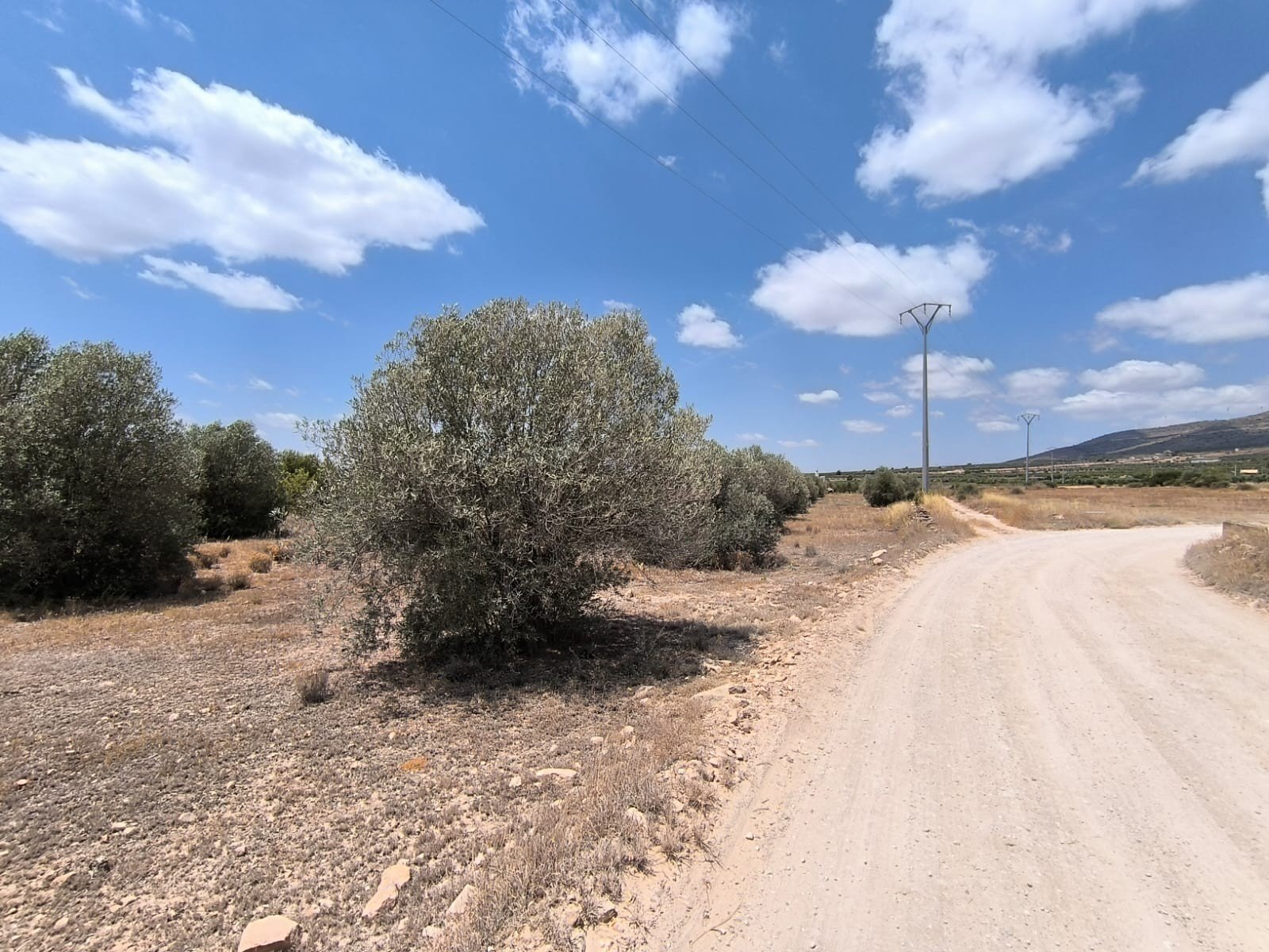 1 Bedroom 1 Bathroom Country House in Caudete - Caza De Casa