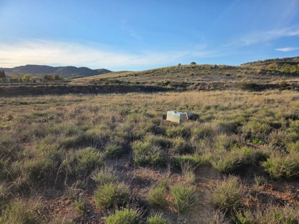 40,000 m² Land in Yecla - Caza De Casa