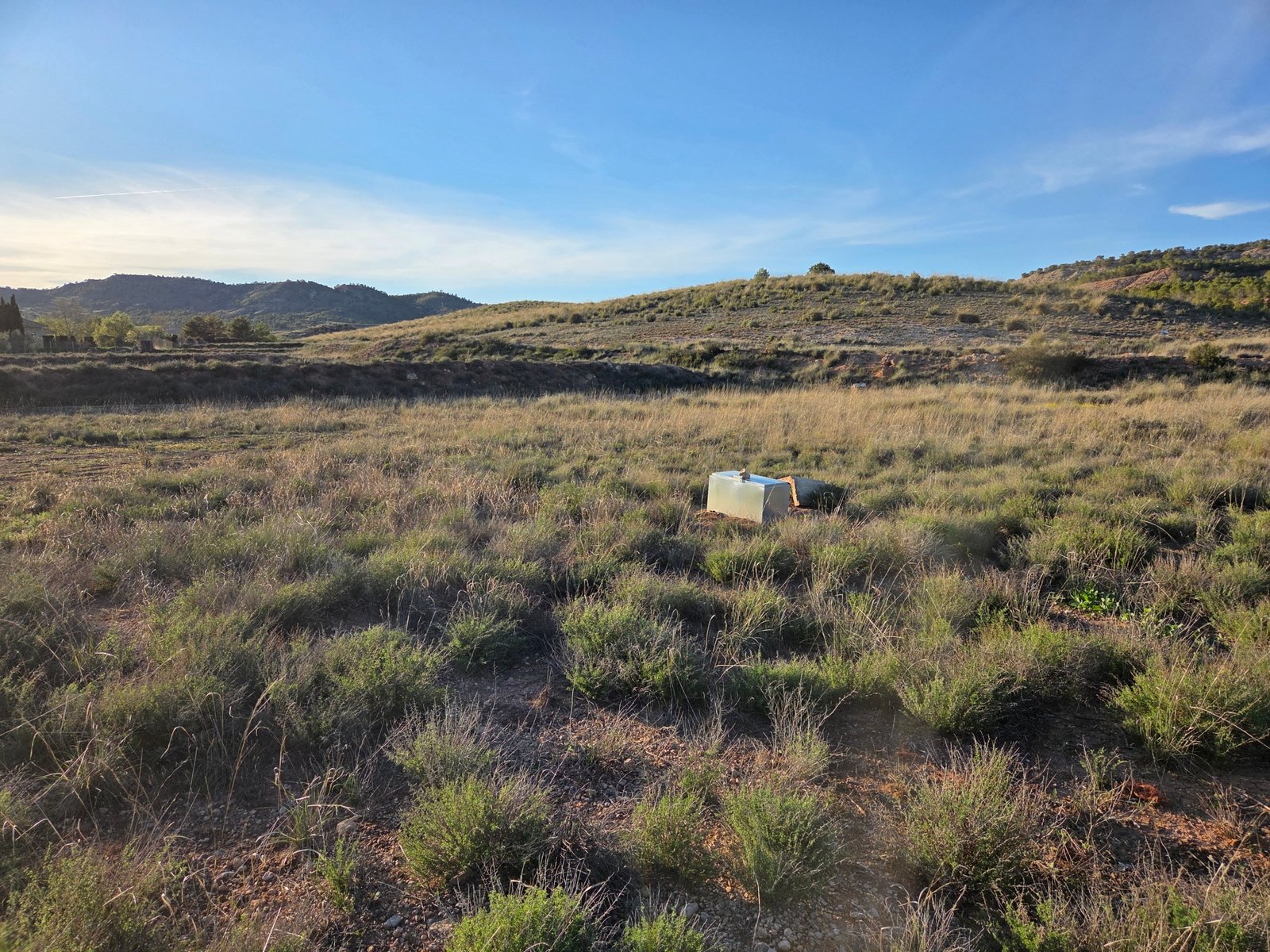 40,000 m² Land in Yecla - Caza De Casa