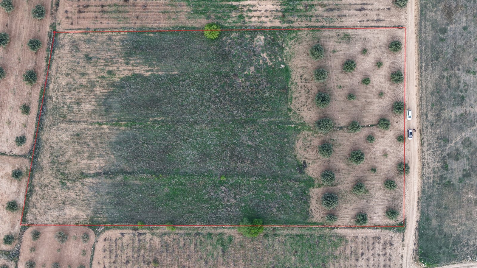 13,701 m² Land in Jumilla - Caza De Casa